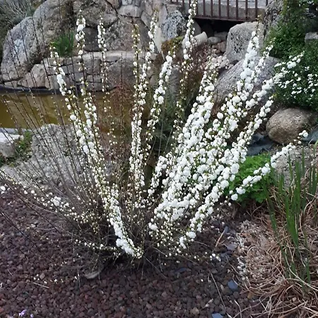 Le Du Côteau - 6 Casa de Férias Saint-Paul-en-Pareds