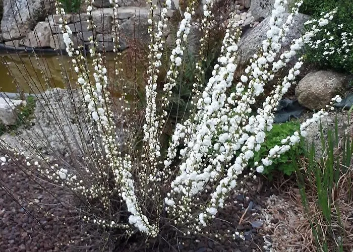 Le Du Coteau - 6 Σπίτι διακοπών Saint-Paul-en-Pareds