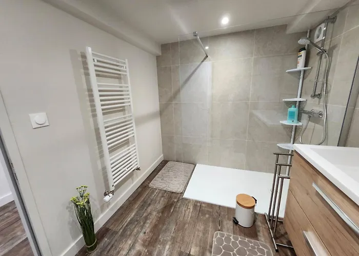 Le Du Coteau - 14 Personnes - 15mn Du Parc Holiday home *